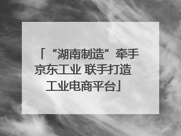 “湖南制造”牵手京东工业 联手打造工业电商平台
